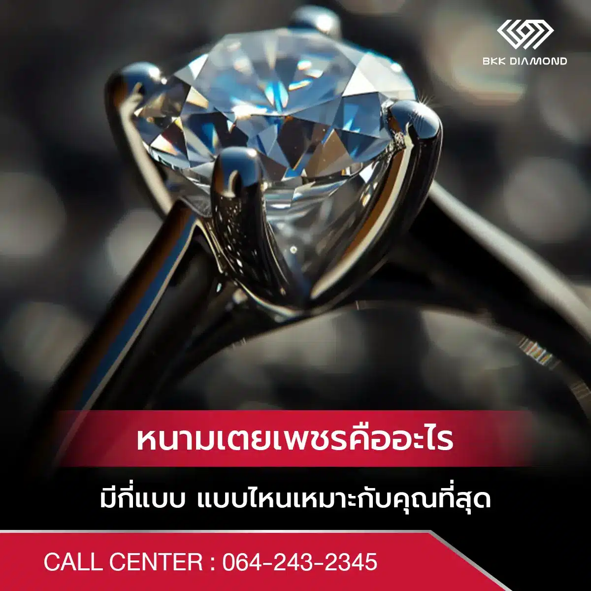 หนามเตยเพชรคืออะไร มีกี่แบบ แบบไหนเหมาะกับคุณที่สุด